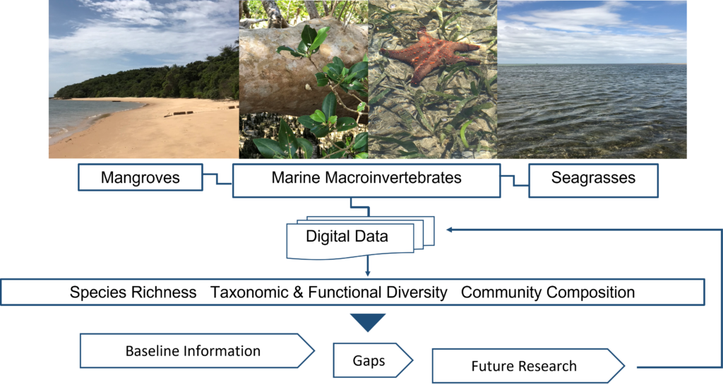 Recent Publication: Catching The Drift Of Marine Invertebrate Diversity ...